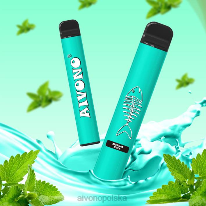 Aivono Vape Review - Aivono AIM FISHBONE 600 fajna mięta F4H8278